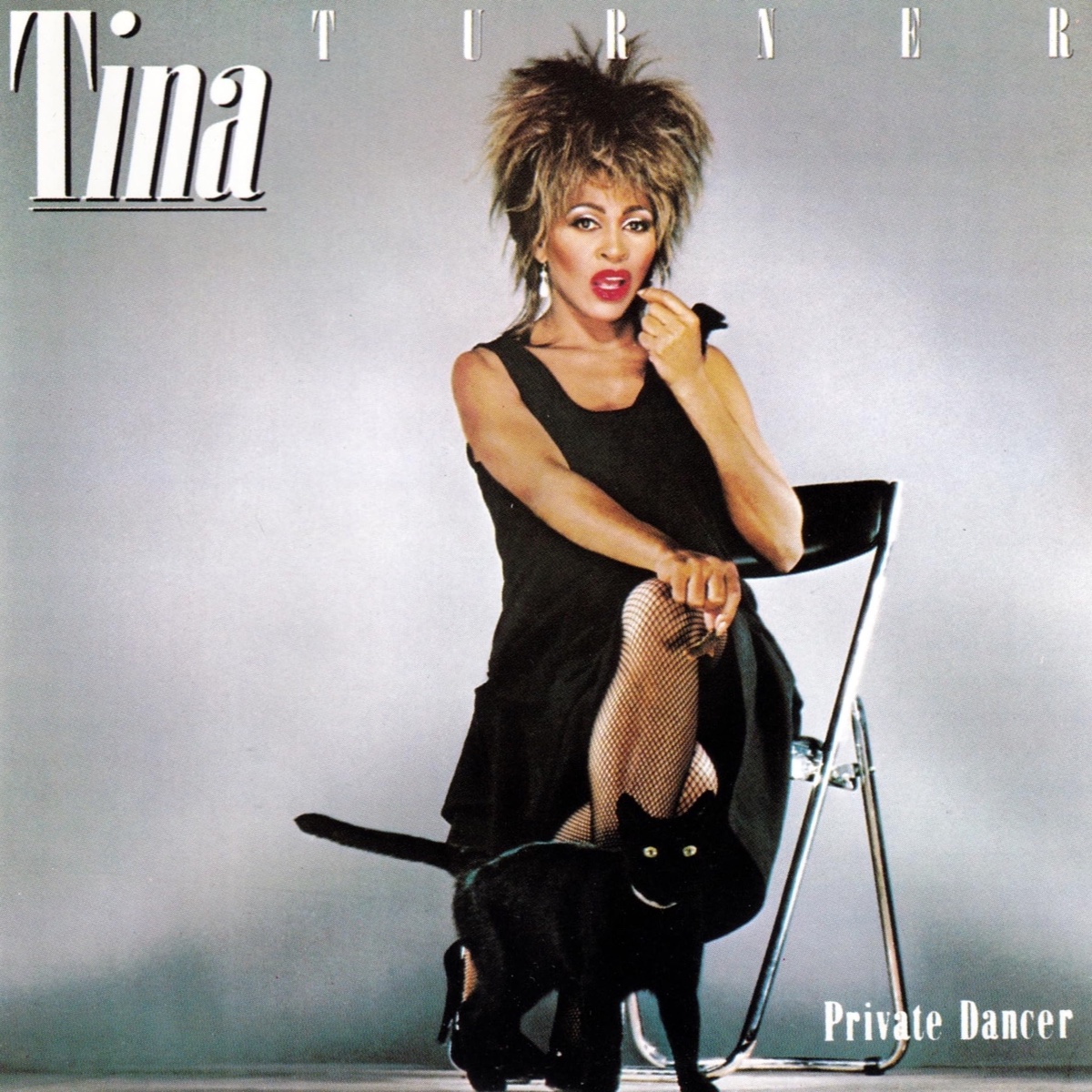 Private Dancer by Tina Turner — album cover